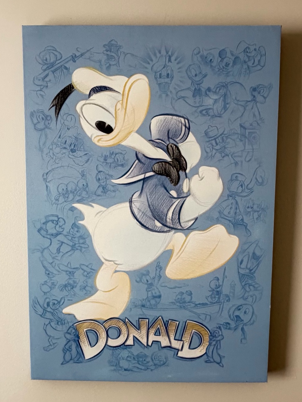 DISNEY Donald Duck ART PRINT ON CANVAS, DISNEY 23” X 16” DISNEY STORE